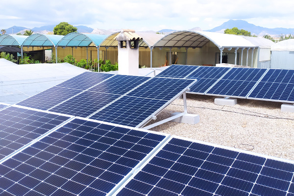 Las placas solares ofrecen una solución sostenible y rentable para satisfacer tus necesidades energéticas